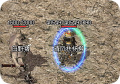 新开传奇